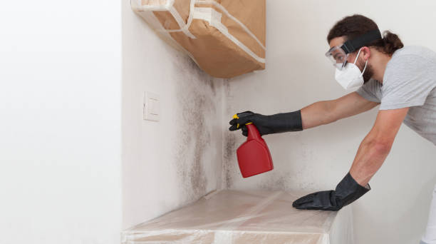 Professional Attic Mold Remediation technician working in Riverside, NJ