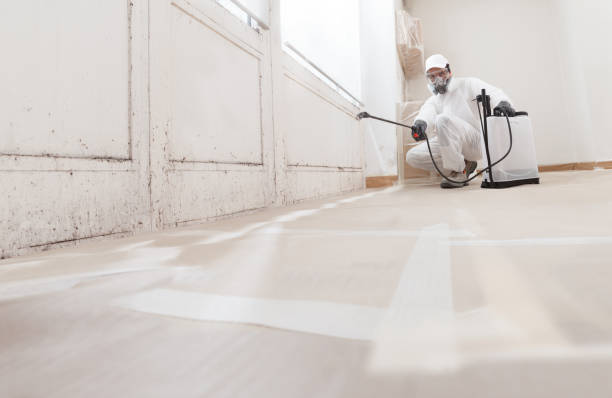 24/7 Emergency Attic Mold Remediation experts in Riverside, NJ